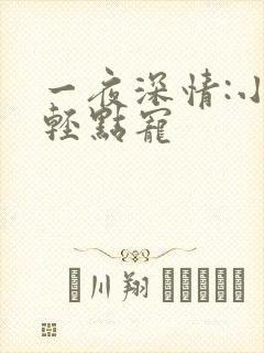 一夜深情:小叔轻点宠