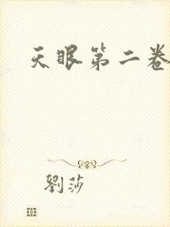 天眼第二卷