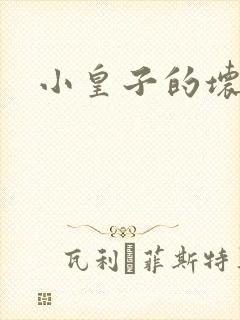 小皇子的坏王妃