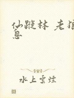 仙踪林 老狼信息