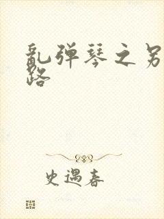 乱弹琴之另一条路