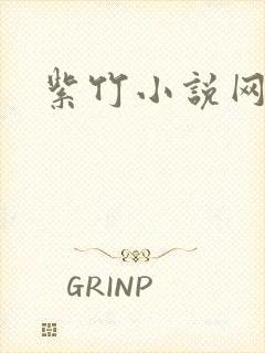 紫竹小说网
