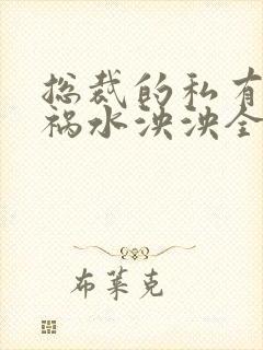 总裁的私有宝贝祸水泱泱全文阅读