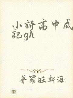 小诗高中成长日记gh