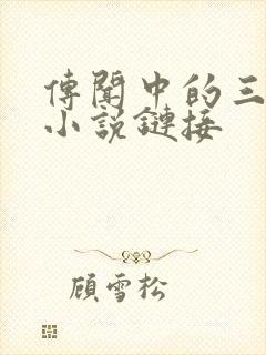 传闻中的三公主小说链接