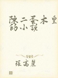 陈二蛋木皇真经的小说