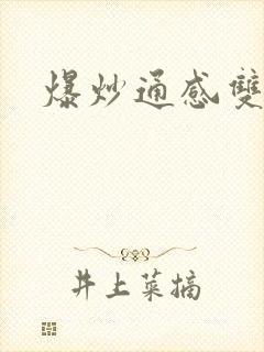 爆炒通感双胞胎