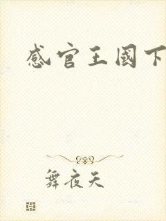 感官王国下载