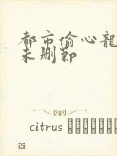 都市偷心龙爪手未删节