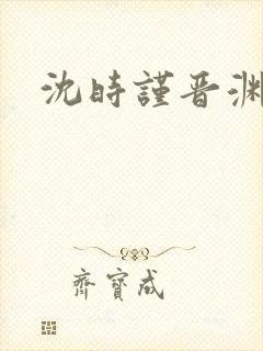 沈时谨晋渊小说