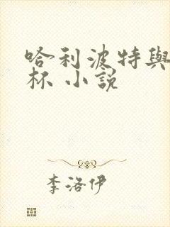 哈利波特与火焰杯 小说