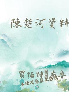 陈楚河资料