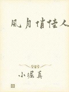 风月俏佳人下载