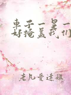 车子一晃一晃正好掩盖我们什么