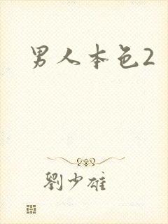男人本色2