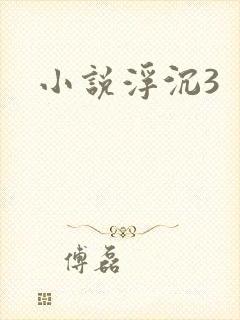 小说浮沉3