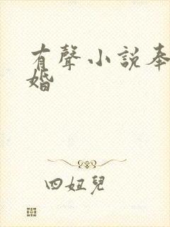 有声小说奉子成婚