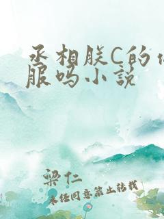 丞相朕C的你舒服吗小说