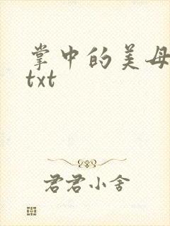 掌中的美母版主txt