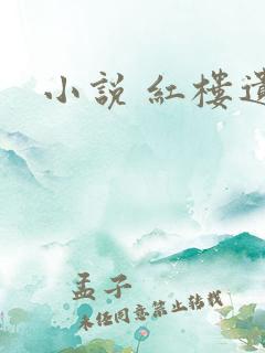 小说 红楼遗秘
