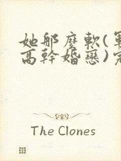 她那么软(军婚高干婚恋)完结