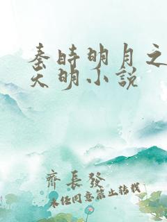秦时明月之夜尽天明小说