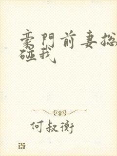 豪门前妻总裁别碰我