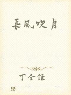 长风吹月