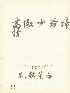 高傲少爷撞到爱情