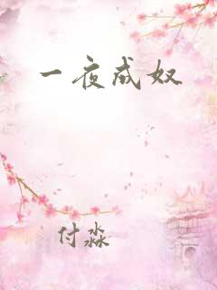 一夜成奴