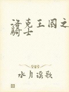 洛克王国之圣龙骑士