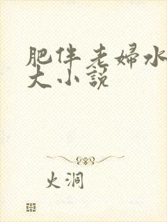 肥伴老妇水多乳大小说