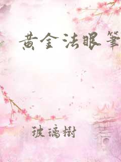 黄金法眼笔趣阁
