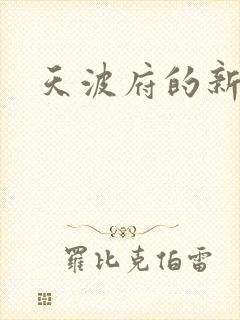 天波府的新姑爷
