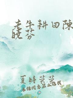 老牛耕田陈雪杨晓芬
