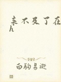 来不及了在车ch