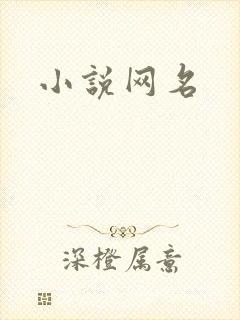 小说网名