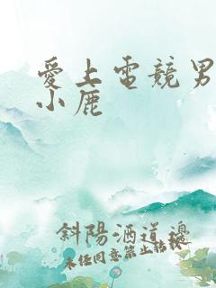 爱上电竞男神林小鹿