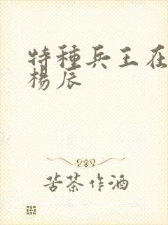 特种兵王在都市杨辰