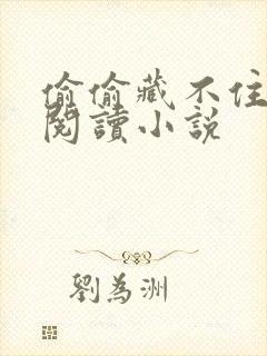 偷偷藏不住免费阅读小说