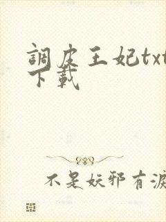 调皮王妃txt下载