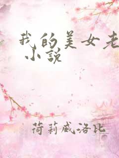 我的美女老婆们 小说