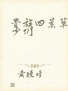 贵族四叶草的恶少们