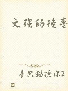 文强的后台是谁