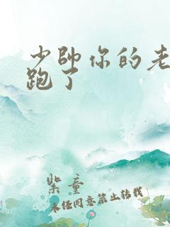 少帅你的老婆又跑了