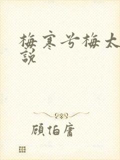 梅寒兮梅太颜小说