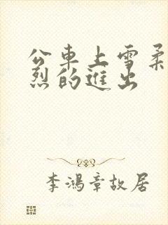 公车上雪柔被猛烈的进出