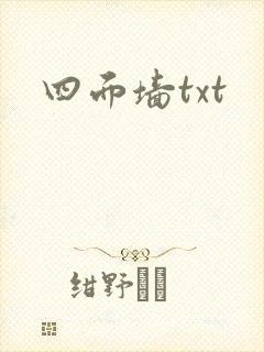 四面墙txt