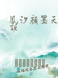 凤汐颜墨天问小说