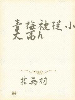 青梅被从小玩到大高h